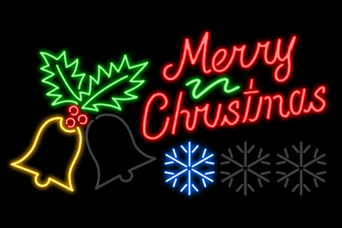 Merry Christmas & Happy New Year from Veteran Pro Lawns LLC!